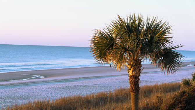 Best Columbia SC Rentals for Families